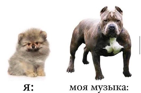 моя музыка: