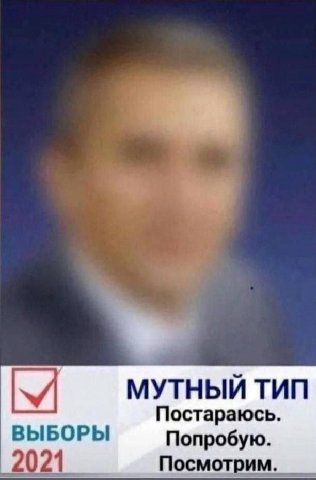 МУТНЫЙ ТИП Постараюсь. ВЫБОРЫ Попробую. _2021 Посмотрим.