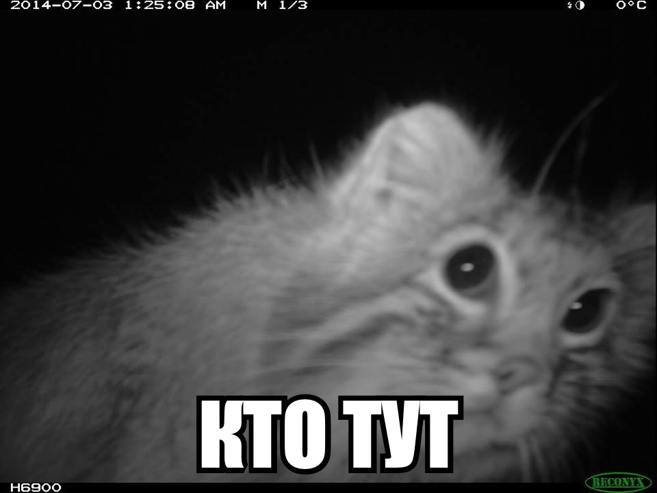 2014-07-03 1:25:08 43 RTO ТУТ