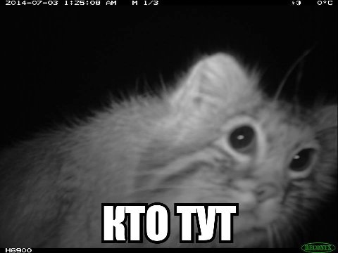 2014-07-03 1:25:08 43 RTO ТУТ