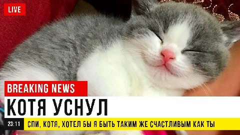 К LIVE 2, 4 i BREAKING NEWS 4 СПИ, KOTA, ХОТЕЛ БЫ Я БЫТЬ ТАКИМ ЖЕ СЧАСТЛИВЫМ КАК ТЫ