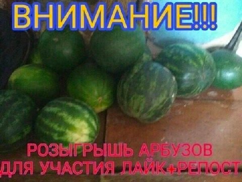 ВНИМАН ВЫ A БУЗОВ ДЛЯ УЧАСТИЯ
