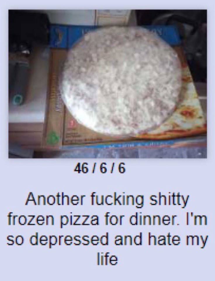 1 46 Another fucking shitty frozen pizza for dinner. so depressed and hate my life