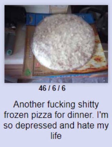 1 46 Another fucking shitty frozen pizza for dinner. so depressed and hate my life