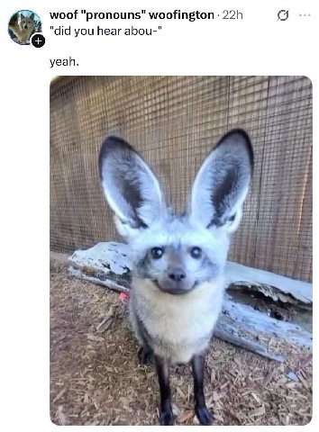 woof "pronouns" woofington "did you hear abou-" yeah. 7