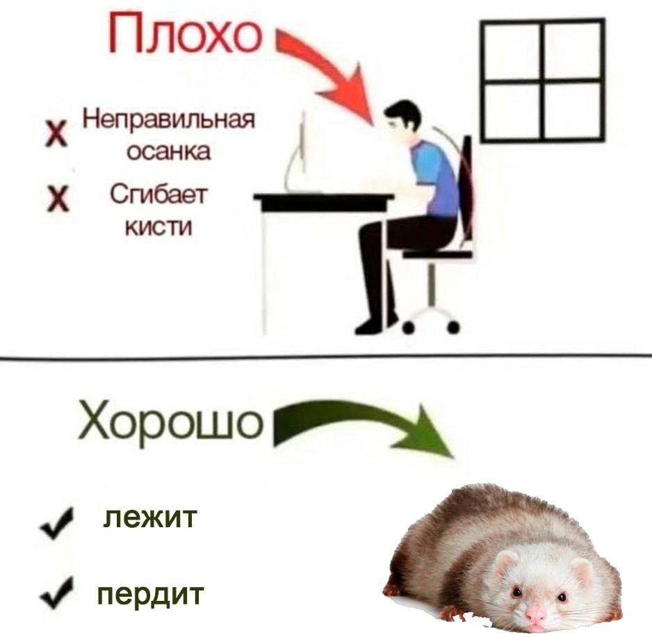 Плохо Неправильная КИСТИ Хорошо лежит пердит
