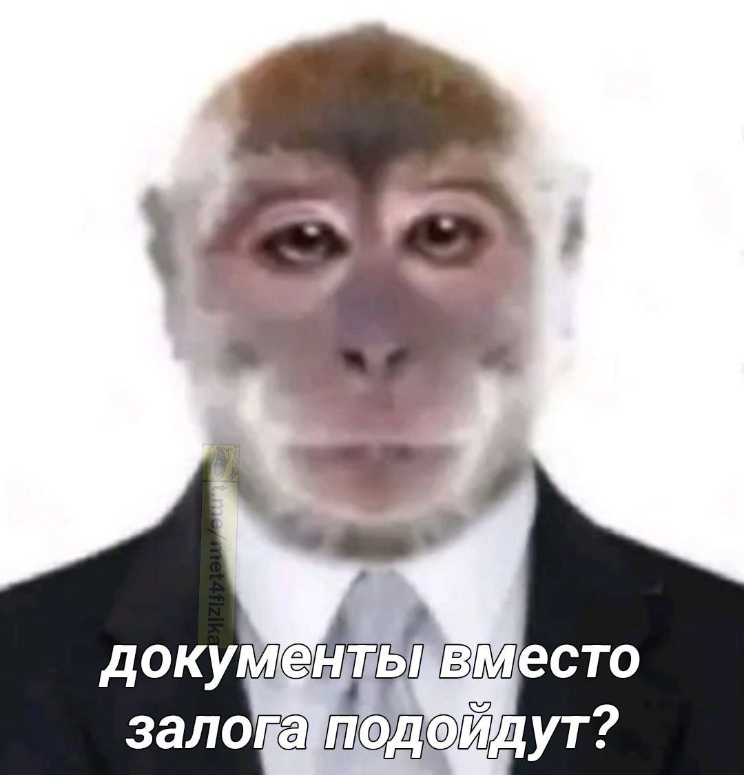 4 докум вместо залова 4