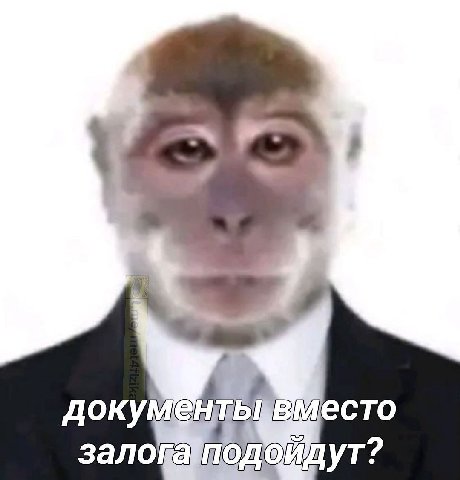 4 докум вместо залова 4