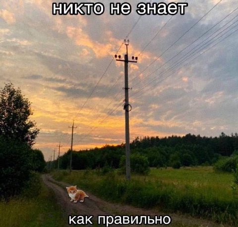 Никто не знает 2 2 как правильно