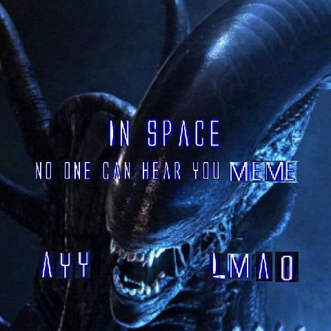 NO ONE CAN HEAR MEME