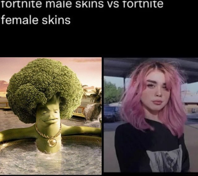 Tortnite Male SKINS female skins