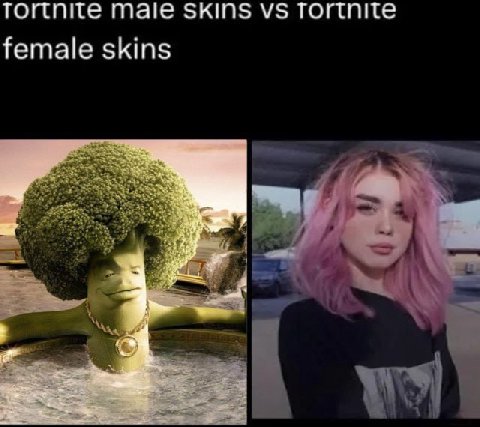 Tortnite Male SKINS female skins