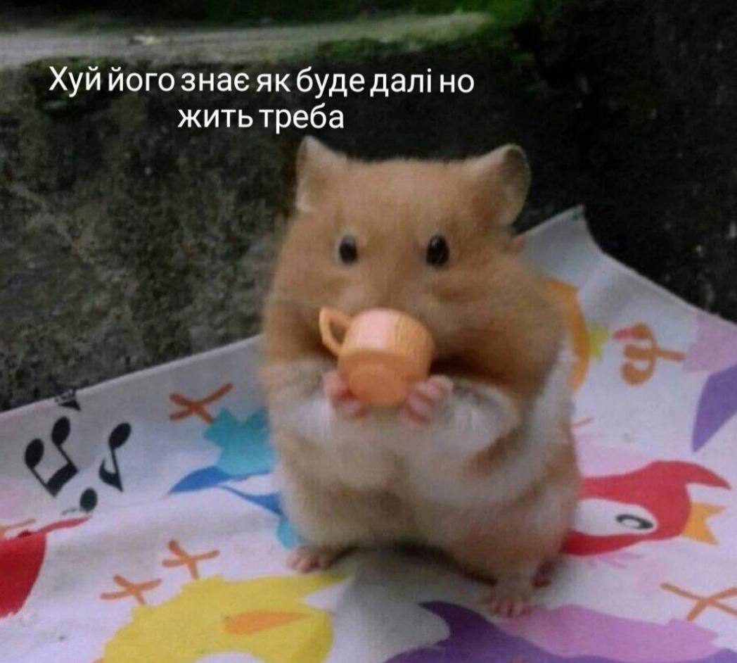 Хуй його знае буде жить треба