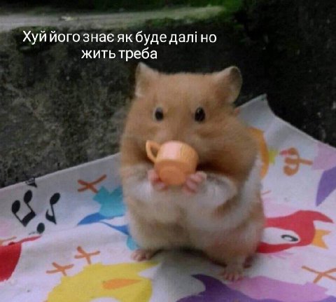 Хуй його знае буде жить треба
