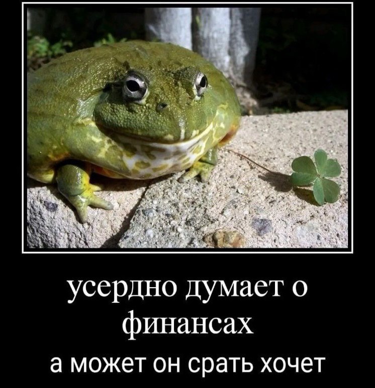 5 4 усердно думает о финансах а может он срать хочет