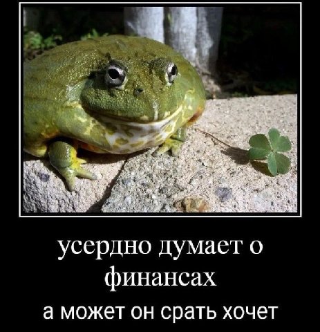 5 4 усердно думает о финансах а может он срать хочет