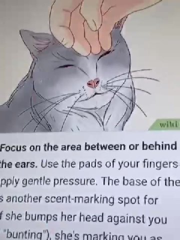 jackson galaxy how to pet your Focus on the area between or behind pply gentle pressure. The base of the > another scent-marking spot for f she bumps her head against you