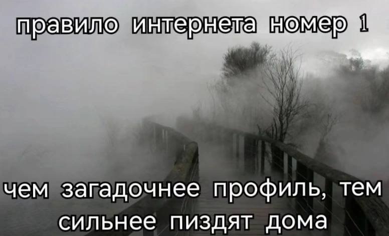 равил нтер чем загадочнее профиль, тем сильнее пиздят дома