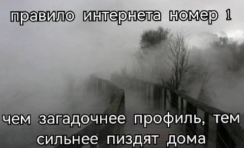 равил нтер чем загадочнее профиль, тем сильнее пиздят дома