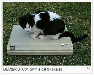 DECtalk DTC01 (with a cat for scale) 5