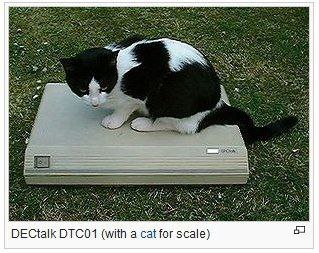 DECtalk DTC01 (with a cat for scale) 5