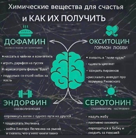 Химические вещества для счастья ПОЛУЧИТЬ $55 on ДОФАМИН ОКСИТОЦИН ХИМИЧЕСКОЕ ВЕЩЕСТВО ДЛЯ ВОЗНАГРАЖДЕНИЯ ГОРМОН ЛЮБВИ нассать в чаиник и вскипятить попасть в поле чудес играть даркфол на гуслях сдават