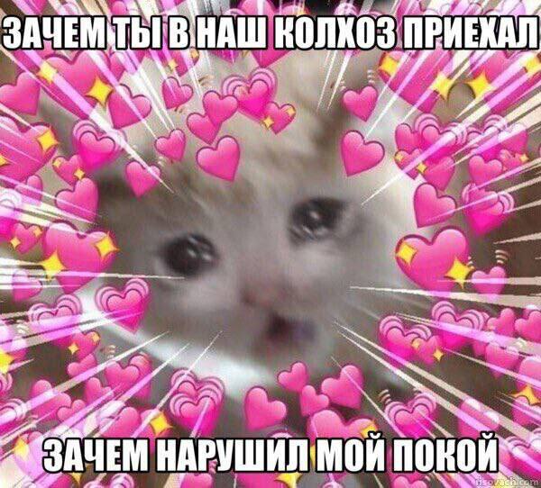 ЗАЧЕМ НАШ ЗАЧЕМ