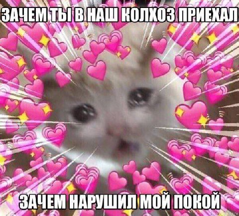 ЗАЧЕМ НАШ ЗАЧЕМ