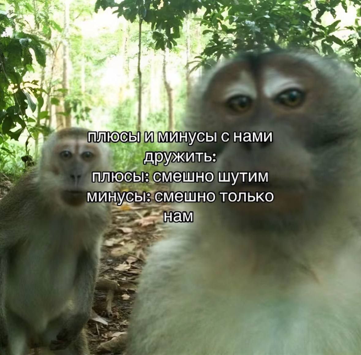 a4 4, Me at 1} 4 A нусы снами 5} ПЛЮСЫ! дружить: плюсы; смешно шутим минусы: смешно только нам
