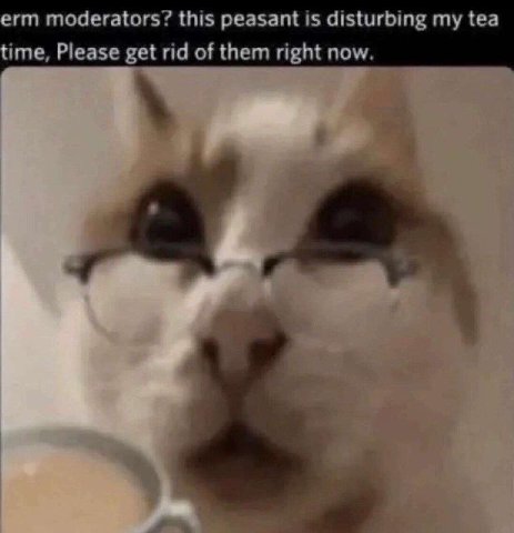 erm moderators? this peasant is disturbing my tea time, Please get rid of them right now.
