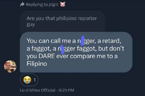 You can теап ger, а retard, a faggot, an 3ger faggot, but don’t you DARE ever compare me toa Filipino