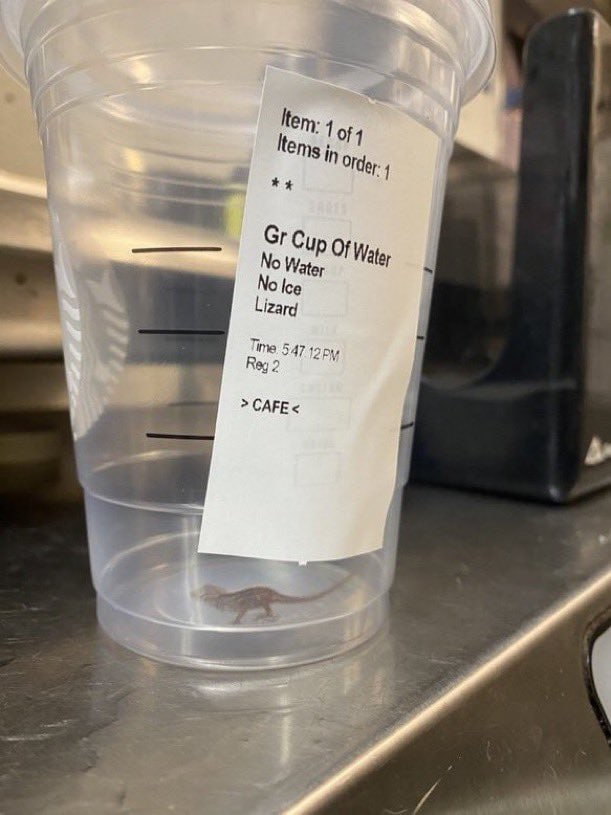 Item: 1 in Orde: Cup of Water No Time 547 13 Reg 2 САЕЕ 3