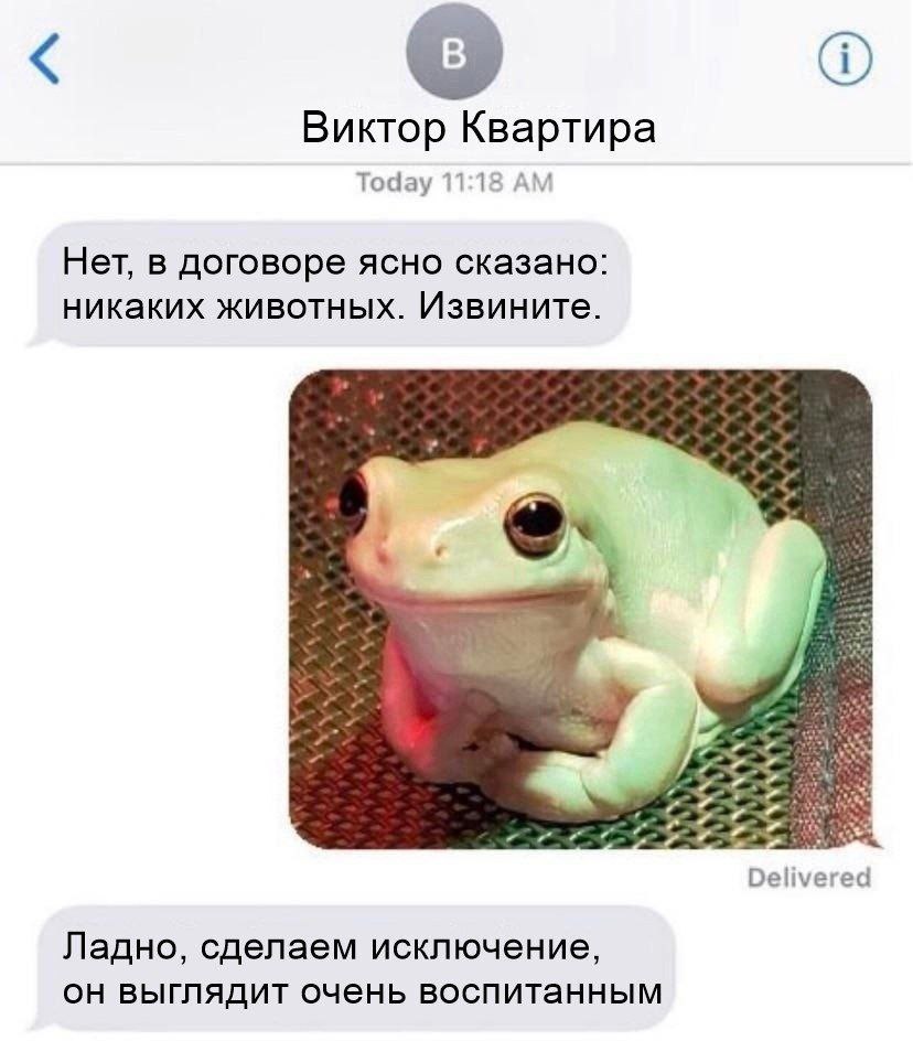 Виктор Квартира Today 11:18 Нет, в договоре ясно сказано: никаких животных. Извините. 4 Delivered Ладно, сделаем исключение, он выглядит очень воспитанным