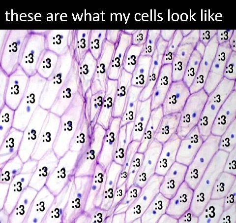 these are what cells look like в. "3 "3 3 3 A :3 .3 73 4 SAY 3 8 3 34 /:3 у 3 [3 3 3 3 Из 3 3 7 3 :3 :3 3 :3 2