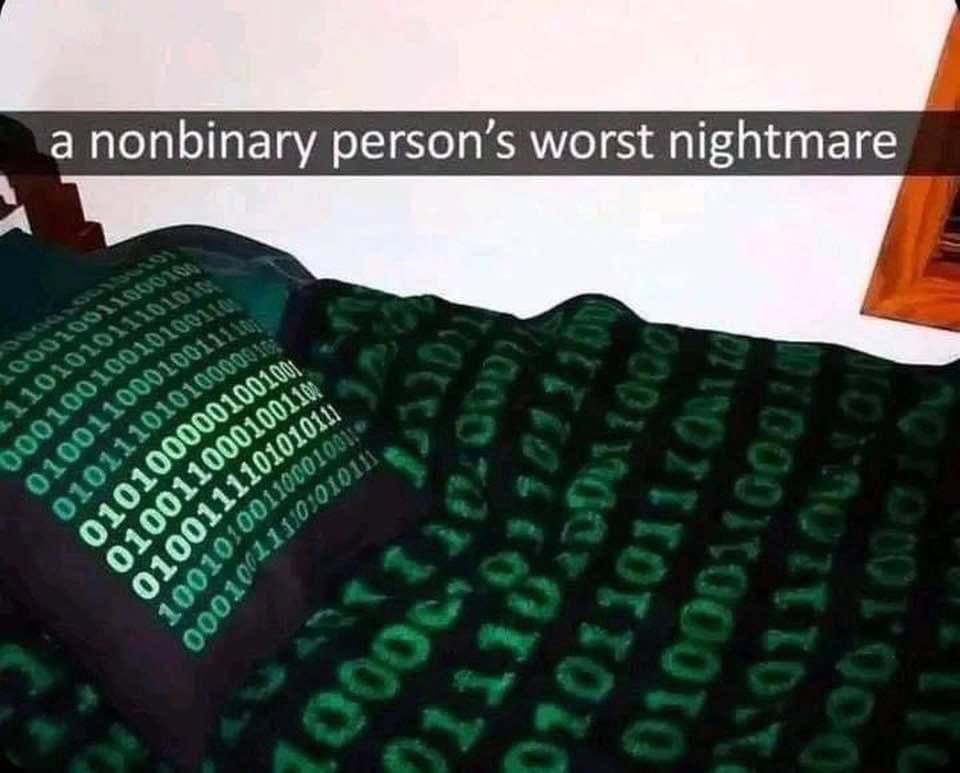 а nonbinary person’s worst nightmare A