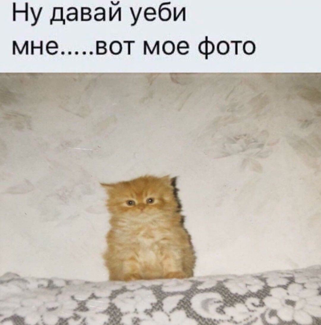 Ну давай уеби мне вот мое фото