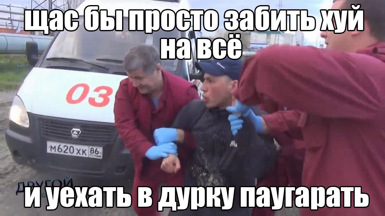 в дурку паугарать