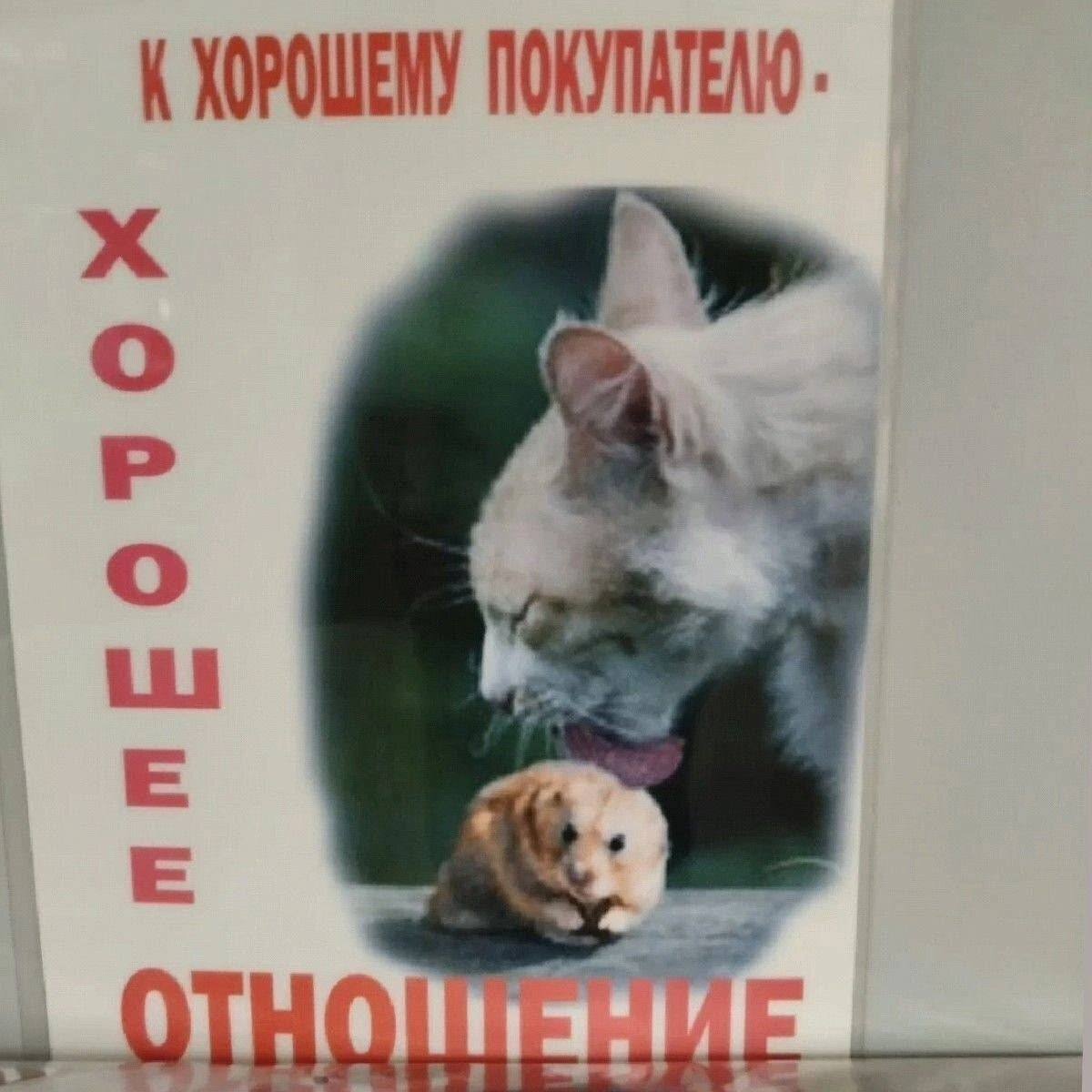 К ХОРОШЕМУ ПОКУЛАТЕЛЮ. о