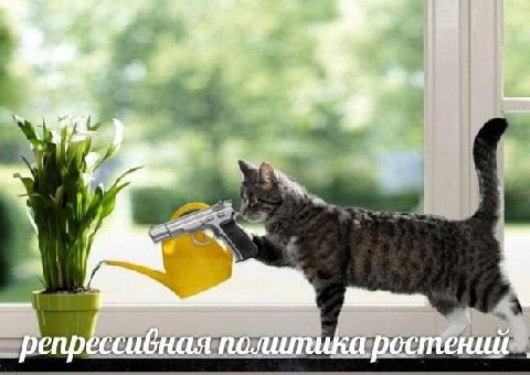 репрёесивная политика ростений