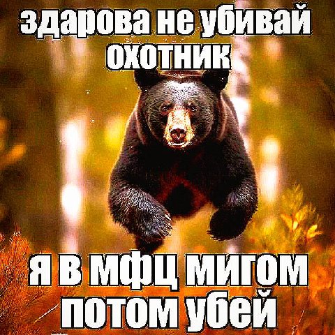 здарова не убивай охотник МИГ потом убей