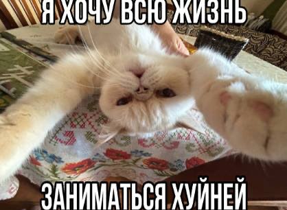 ЗАНИМАТЬСЯ