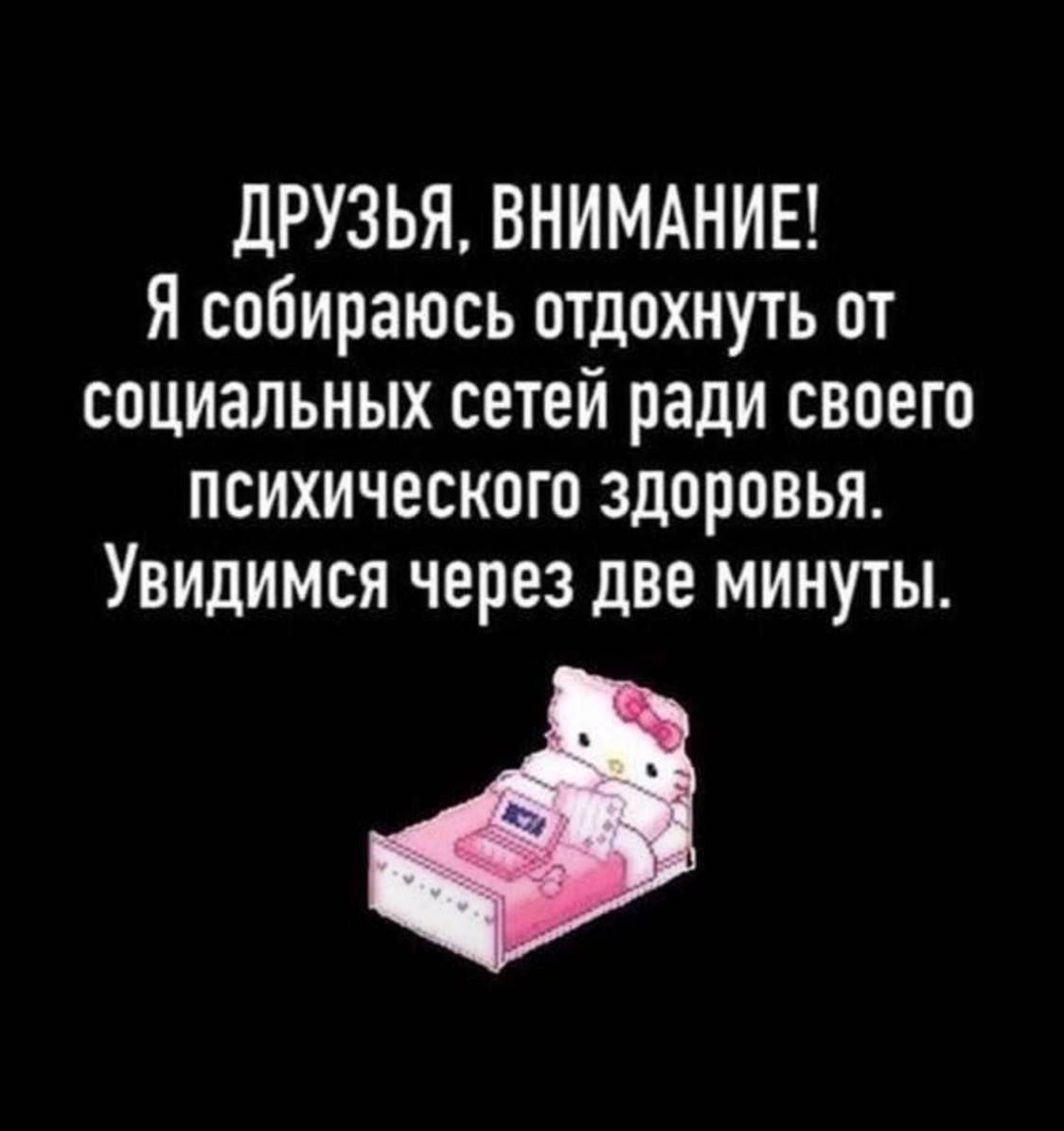 ДРУЗЬЯ, ВНИМАНИЕ! Я собираюсь отдохнуть от социальных сетей ради своего психического здоровья. Увидимся через две минуты.