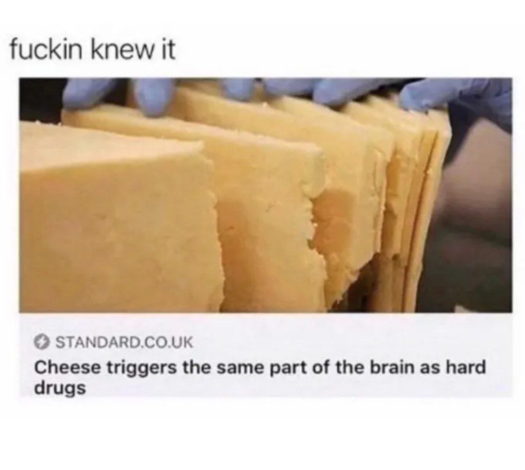 fuckin knew it О STANDARD.CO.UK Cheese triggers the same part of the brain as hard drugs