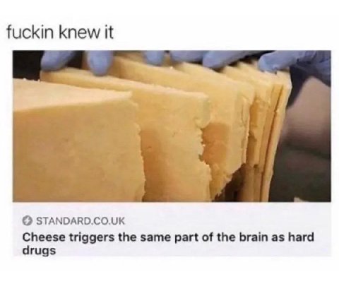 fuckin knew it О STANDARD.CO.UK Cheese triggers the same part of the brain as hard drugs