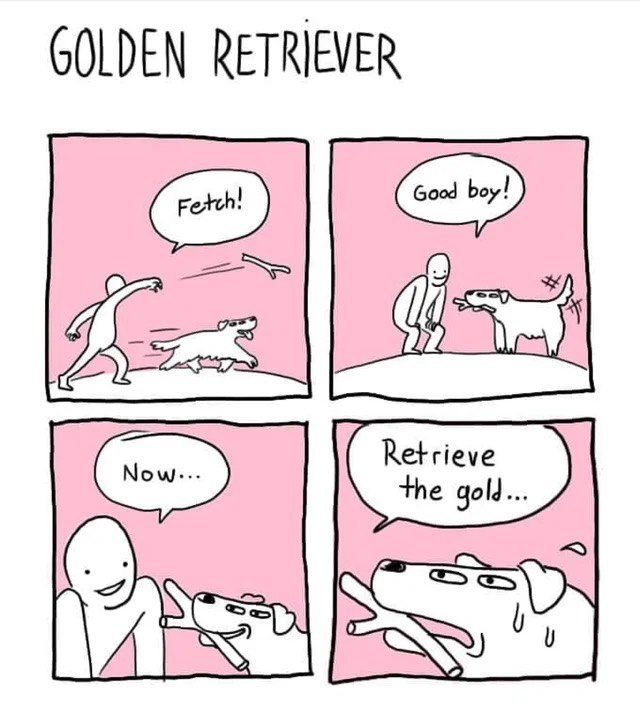 GOLDEN RETRIEVER Good boy! NSS LAS