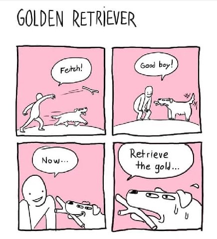 GOLDEN RETRIEVER Good boy! NSS LAS