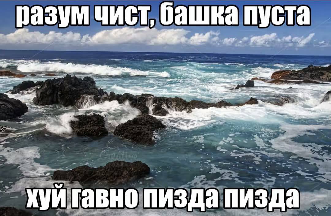 👤 Пельмешек