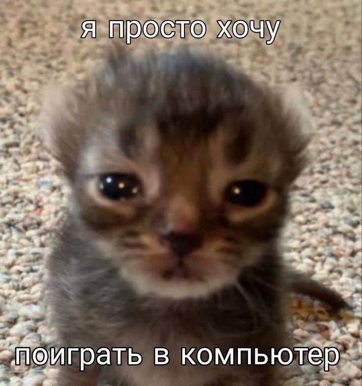 я просто хочу 4 Поиграть в