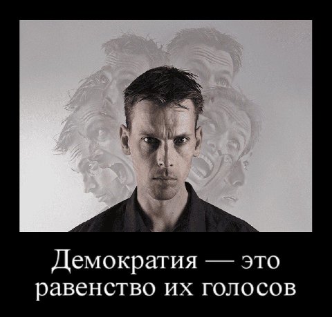 Демократия это равенство голосов