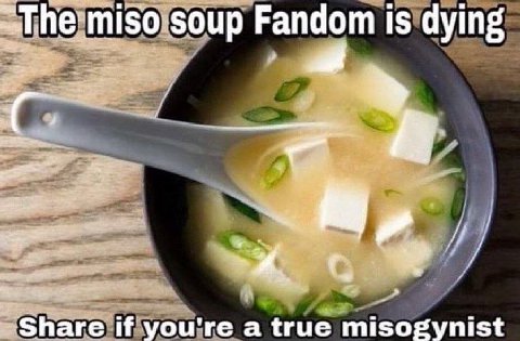 miso soup Fandom is dying С. Share if you're a true misogynist